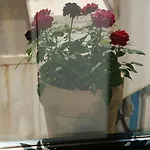 Coral Of Apartament
