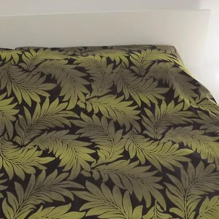 Coral Of Apartamento