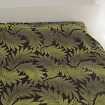 Coral Of Apartment